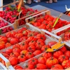Marché provençal de Bédarrides - EN