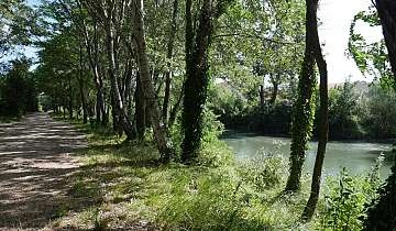 Berges de l'Ouvèze à Sorgues