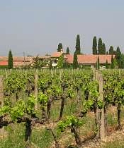 Domaine de la Camarette