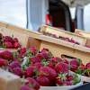 Pernes-les-Fontaines farmers' market