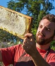 Silvain - Paysans nougatiers