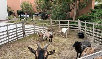 Les fermiers en herbe