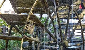 Roue à aubes