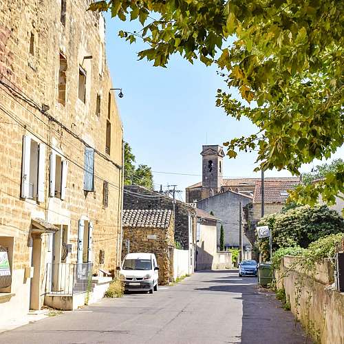 The remains of the Papal Palace and its gardens
