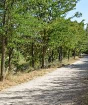 Balade sur les berges de l'Ouvèze, Sorgues