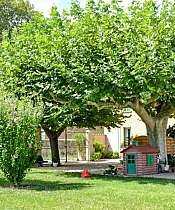 La Maison de Mamé à Althen des Paluds