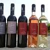 Visit to the Domaine de la Camarette