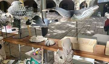 Taihanana_Pernes-les-Fontaines