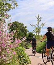 Escapade aux Pays des Sorgues_Villeneuve-lez-Avignon
