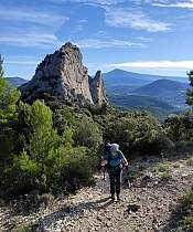 Randonnée accompagnée dans les Dentelles de Montmirail