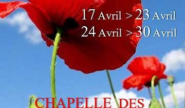 Salon de printemps - Expo 1_Pernes-les-Fontaines