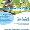 Initiation au comptage des oiseaux des jardins - EN