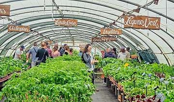 Jardin d'Elfi et Ola : Journée conférence_Pernes-les-Fontaines