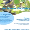 Initiation au comptage des oiseaux des jardins - EN