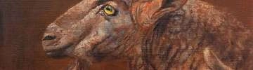 Exposition faune & flore_Pernes-les-Fontaines