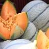 Fête du Melon et du Terroir - EN